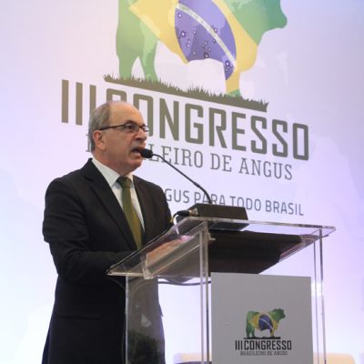 Foto Olga Ferreira da Silva - Angus I