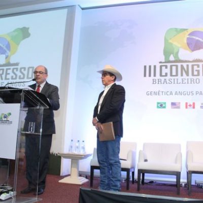 Foto Olga Ferreira da Silva - Angus III